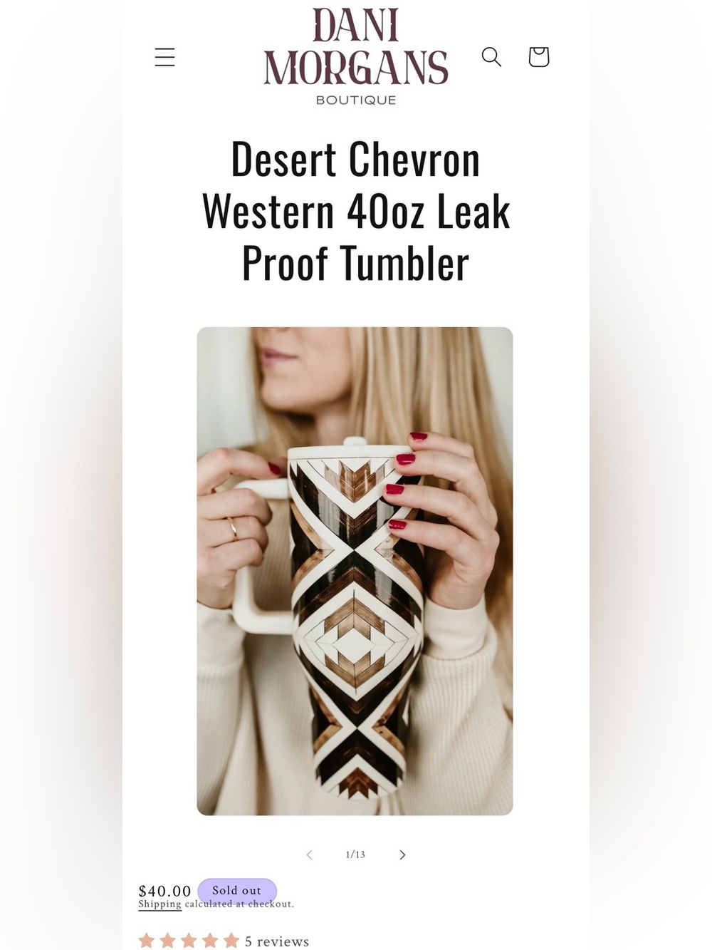 Dani Morgans boutique Desert Chevron Western 40oz Leak Proof Tumbler *no lid
